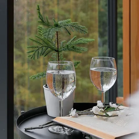 Apartman Bania Black Mountain Ii Basen & Białka Tatrzańska